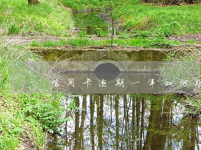 信用卡逾期一年如何跟银行协商 信用卡逾期一年如何跟银行协商