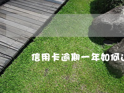 信用卡逾期一年如何还 信用卡逾期一年如何还
