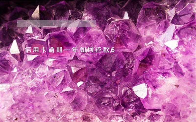 信用卡逾期一年如何还款6 信用卡逾期一年如何还款6