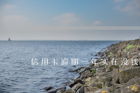 信用卡逾期一年实在没钱怎么办