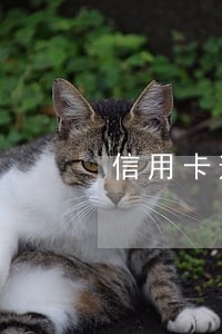 信用卡逾期一年封卡怎么解除 信用卡逾期一年封卡怎么解除