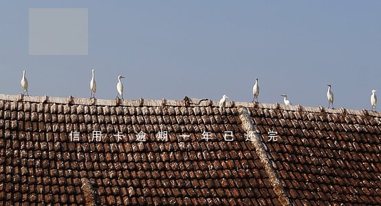 信用卡逾期一年已还完 信用卡逾期一年已还完