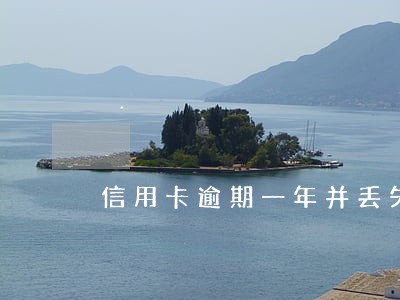 信用卡逾期一年并丢失 信用卡逾期一年并丢失