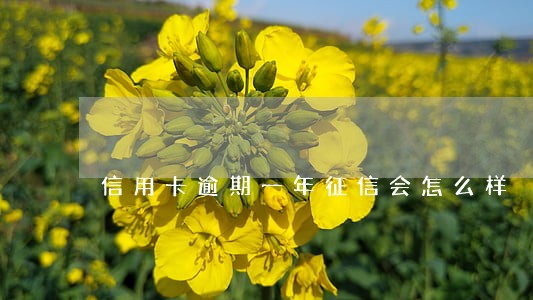 信用卡逾期一年征信会怎么样 信用卡逾期一年征信会怎么样