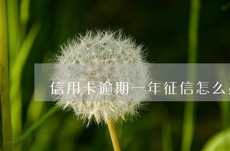 信用卡逾期一年征信怎么办 信用卡逾期一年征信怎么办