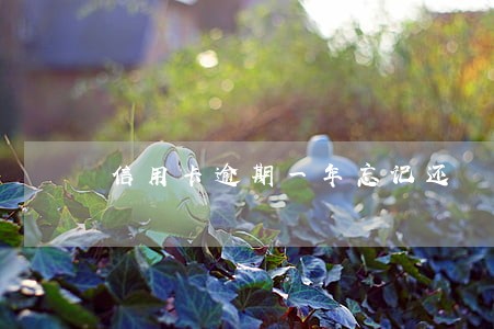 信用卡逾期一年忘记还 信用卡逾期一年忘记还
