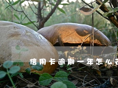 信用卡逾期一年怎么去协商 信用卡逾期一年怎么去协商