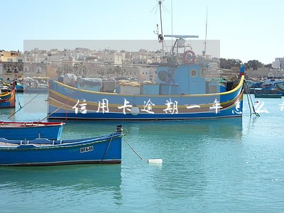 信用卡逾期一年怎么弄