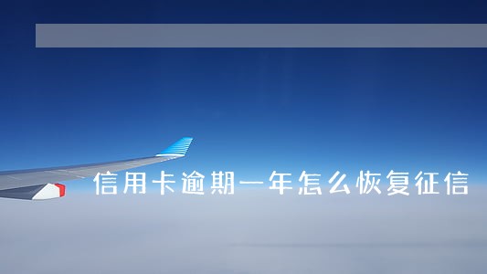 信用卡逾期一年怎么恢复征信