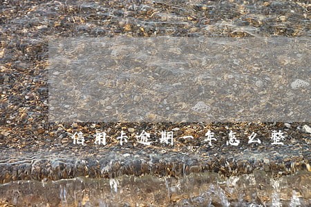 信用卡逾期一年怎么整 信用卡逾期一年怎么整