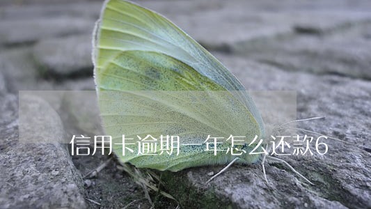 信用卡逾期一年怎么还款6