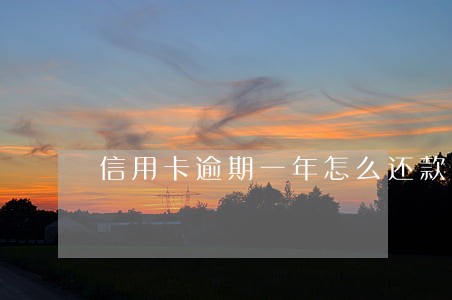 信用卡逾期一年怎么还款还不了了 信用卡逾期一年怎么还款还不了了