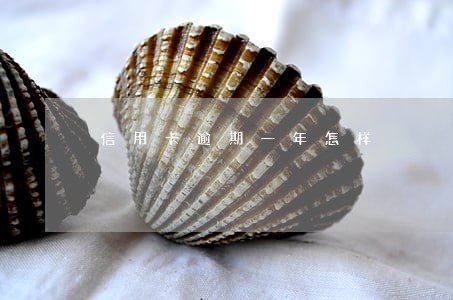 信用卡逾期一年怎样