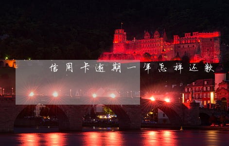 信用卡逾期一年怎样还款