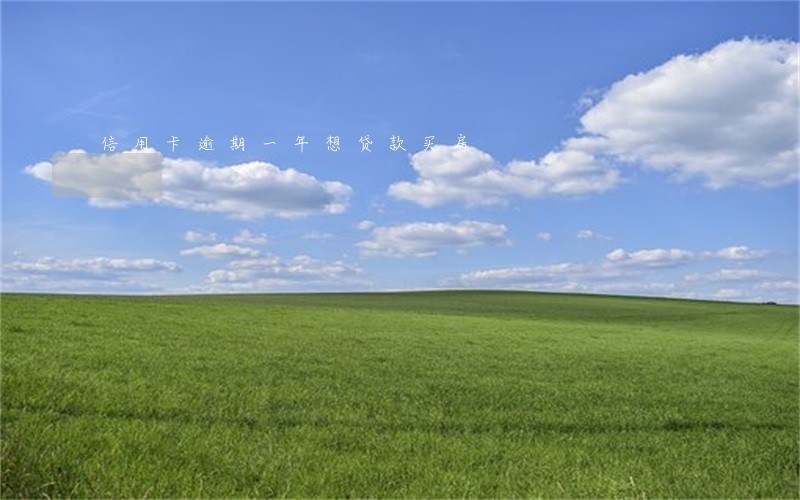 信用卡逾期一年想贷款买房 信用卡逾期一年想贷款买房