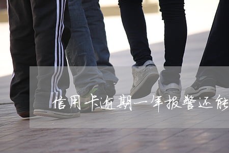 信用卡逾期一年报警还能追逃吗 信用卡逾期一年报警还能追逃吗