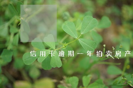 信用卡逾期一年拍卖房产 信用卡逾期一年拍卖房产