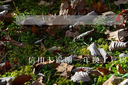 信用卡逾期一年换了号码 信用卡逾期一年换了号码
