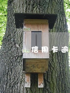 信用卡逾期一年无力偿还怎么办 信用卡逾期一年无力偿还怎么办