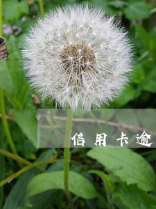 信用卡逾期一年是什么资料