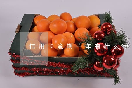 信用卡逾期一年有什么事 信用卡逾期一年有什么事