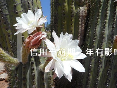 信用卡逾期一年有影响吗 信用卡逾期一年有影响吗