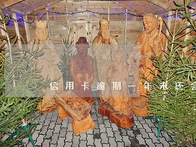 信用卡逾期一年未还会怎么样 信用卡逾期一年未还会怎么样