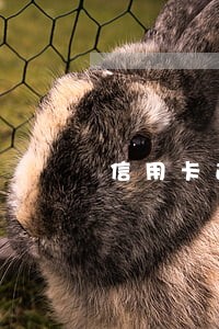 信用卡逾期一年欠三千会怎么样 信用卡逾期一年欠三千会怎么样