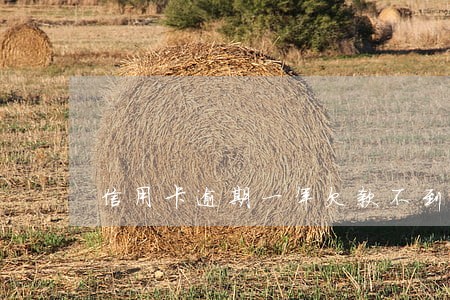 信用卡逾期一年欠款不到两万 信用卡逾期一年欠款不到两万