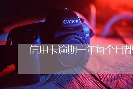 信用卡逾期一年每个月都最低还款 信用卡逾期一年每个月都最低还款