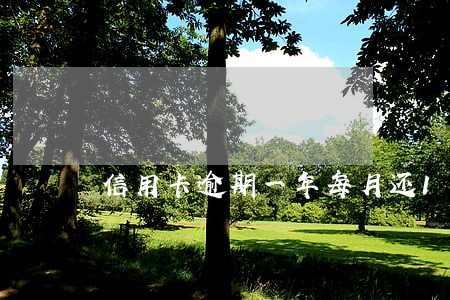 信用卡逾期一年每月还100 信用卡逾期一年每月还100