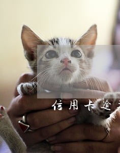 信用卡逾期一年每月都有还 信用卡逾期一年每月都有还