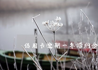 信用卡逾期一年滞纳金与利息 信用卡逾期一年滞纳金与利息