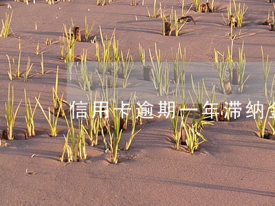 信用卡逾期一年滞纳金会减掉吗 信用卡逾期一年滞纳金会减掉吗