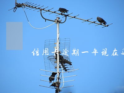 信用卡逾期一年现在还下进去