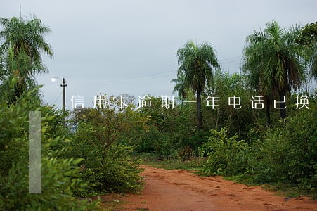 信用卡逾期一年电话已换 信用卡逾期一年电话已换