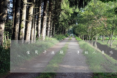 信用卡逾期一年的人多吗
