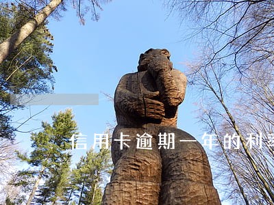 信用卡逾期一年的利率是多少