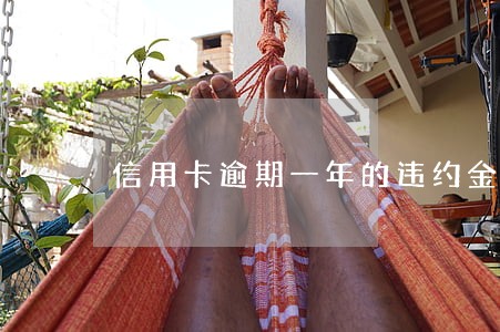 信用卡逾期一年的违约金 信用卡逾期一年的违约金