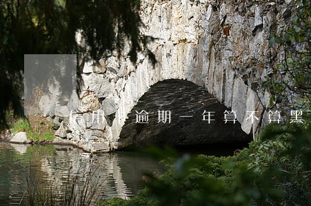 信用卡逾期一年算不算黑户 信用卡逾期一年算不算黑户