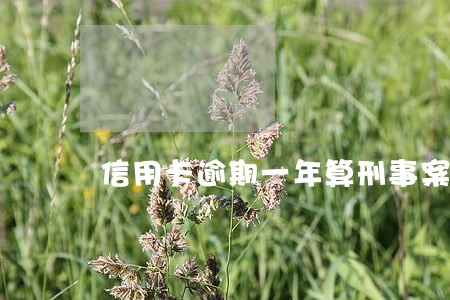 信用卡逾期一年算刑事案件吗 信用卡逾期一年算刑事案件吗