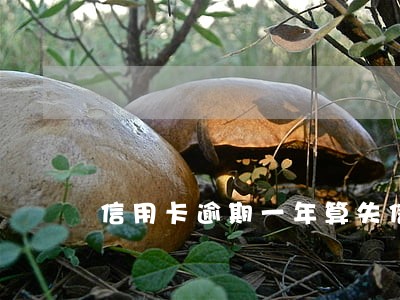 信用卡逾期一年算失信吗 信用卡逾期一年算失信吗