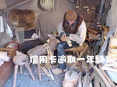 信用卡逾期一年翻多少倍 信用卡逾期一年翻多少倍