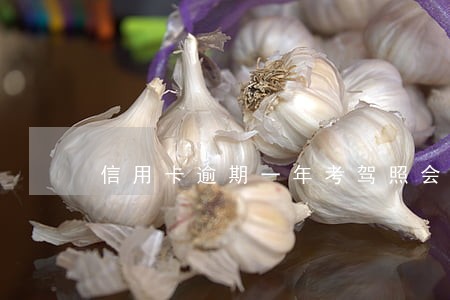 信用卡逾期一年考驾照会抓我吗