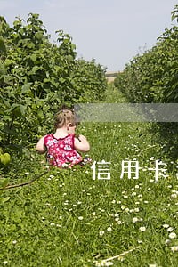 信用卡逾期一年能分期还吗