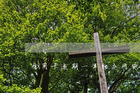 信用卡逾期一年能办网贷吗 信用卡逾期一年能办网贷吗