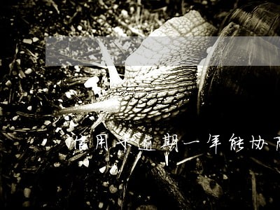 信用卡逾期一年能协商吗 信用卡逾期一年能协商吗