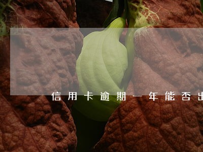 信用卡逾期一年能否出国