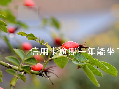 信用卡逾期一年能坐飞机么