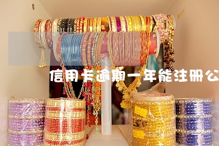 信用卡逾期一年能注册公司吗 信用卡逾期一年能注册公司吗